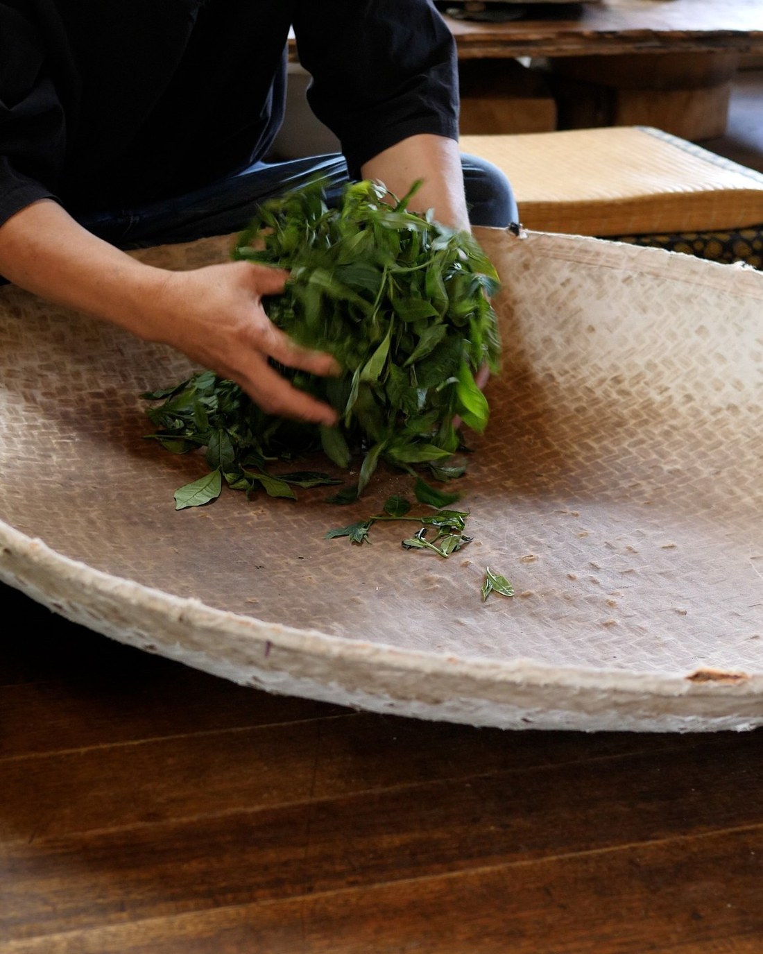 A tea maker's hands rolling leaves